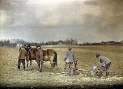 Un contadino e due soldati francesi che arano con due cavalli, Marne, Francia, 1917 da Fernand Cuville